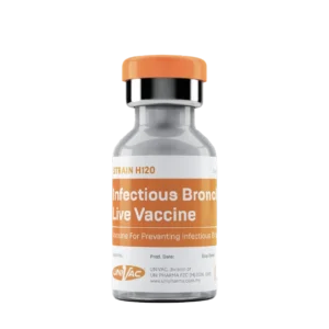 Infectious Bronchitis LIVE VACCINE