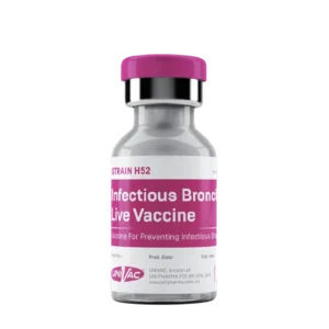 Infectious Bronchitis LIVE VACCINE