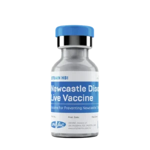 Newcastle Disease LIVE VACCINE