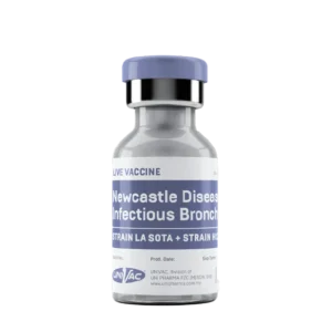 Newcastle Disease + Infectious Bronchitis LIVE VACCINE