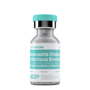 Newcastle Disease + Infectious Bronchitis LIVE VACCINE