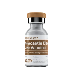 Newcastle Disease LIVE VACCINE