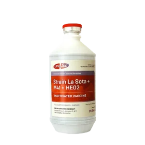 Strain La Sota + M41 + HE02