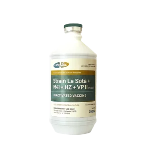 Strain La Sota + M41 + HZ + VP II Protein
