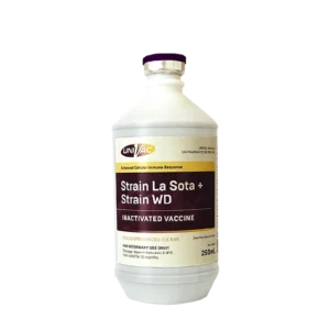 Strain La Sota + Strain WD