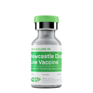 Newcastle Disease LIVE VACCINE